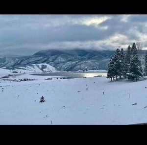 Meet your Posher, Pam